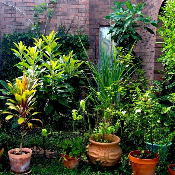 Meet your Posher, Jaime - Picture 1 of 1